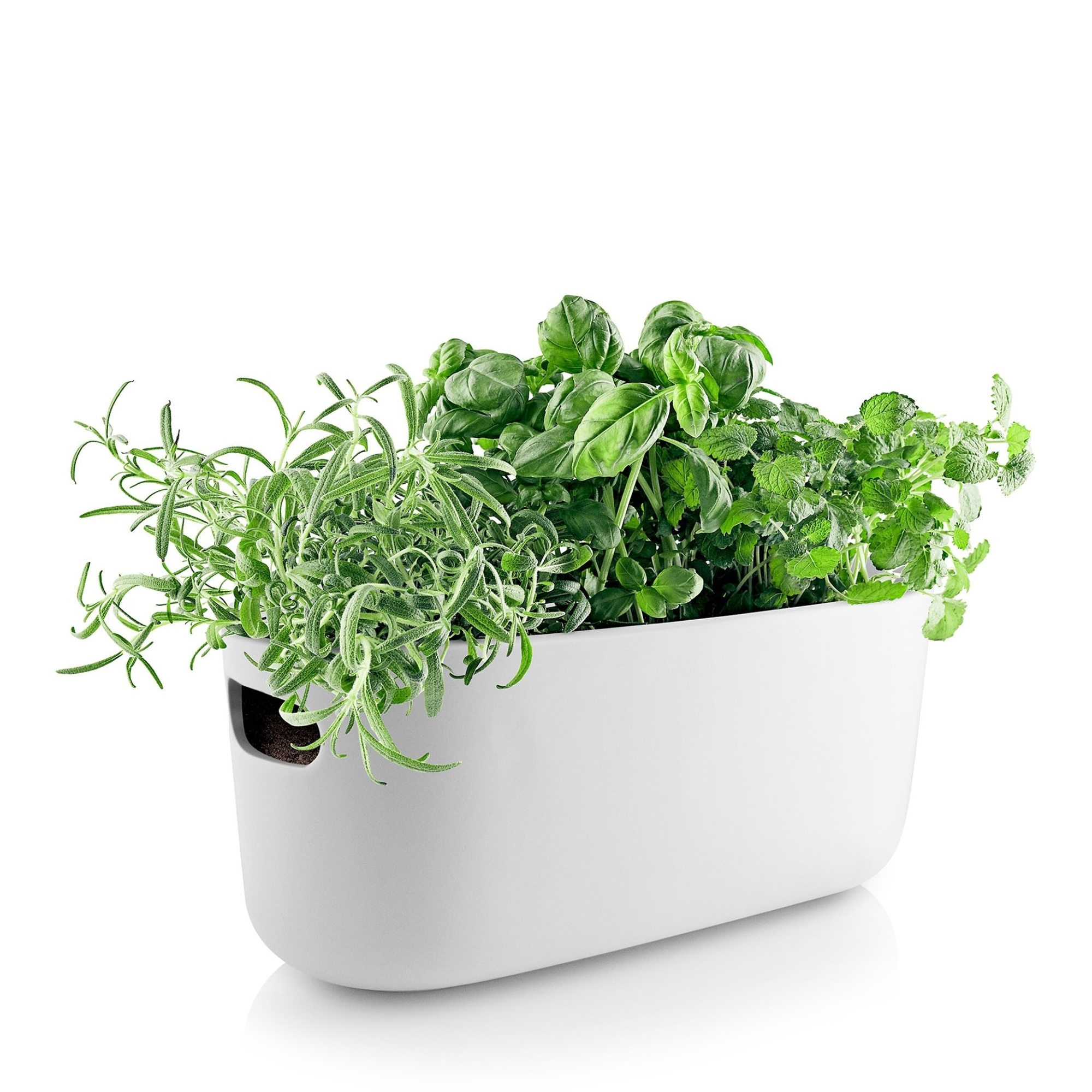 Eva Solo - Self-Watering Herb Organiser